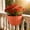 Red, variant on Elainilye Wall Mounted Flower Pot Semi-Circular Rattan Textured Plastic Planter for Indoor Outdoor Home Garden Decor Spring Decoration