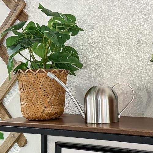 Small Watering Can for Indoor Plants Stainless Steel Bonsai Watering can Mini Metal (15oz/450ml)