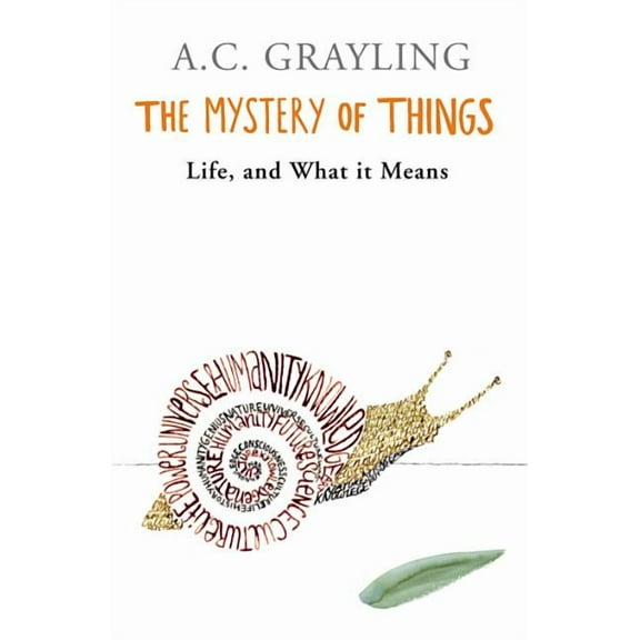 The Mystery of Things (Paperback)