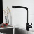 thumbnail image 4 of Kitchen Faucet Black 304 Stainless Steel Kitchen Sink Mixer Tap with Pull-out Spray 360° Rotatable, 4 of 5