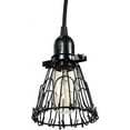Rustic State Adjustable Metal Wire Hanging Pendant Light Cage, Lamp