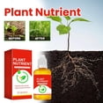 thumbnail image 2 of Plant Fertilizer Outdoor Root Growth Stimulant High Capacity Liquid Plant Nutrient for Strong Root Development and Healthy Growth for Garden Indoor Potted Plants 1.69 Fl Oz Single, 2 of 9