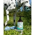 thumbnail image 5 of Petals & Tails Salmon Oil for Dogs & Cats – Pure Omega-3 Fish Oil for Dogs Supplement for Skin & Coat 100% wild Caugth Alaskan Salmon, 5 of 5