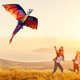 thumbnail image 5 of Juguetes al aire libre Cometa 3D Dragón al aire libre 100m Surf Juego de vuelo Niños Juguetes para niños, 5 of 7