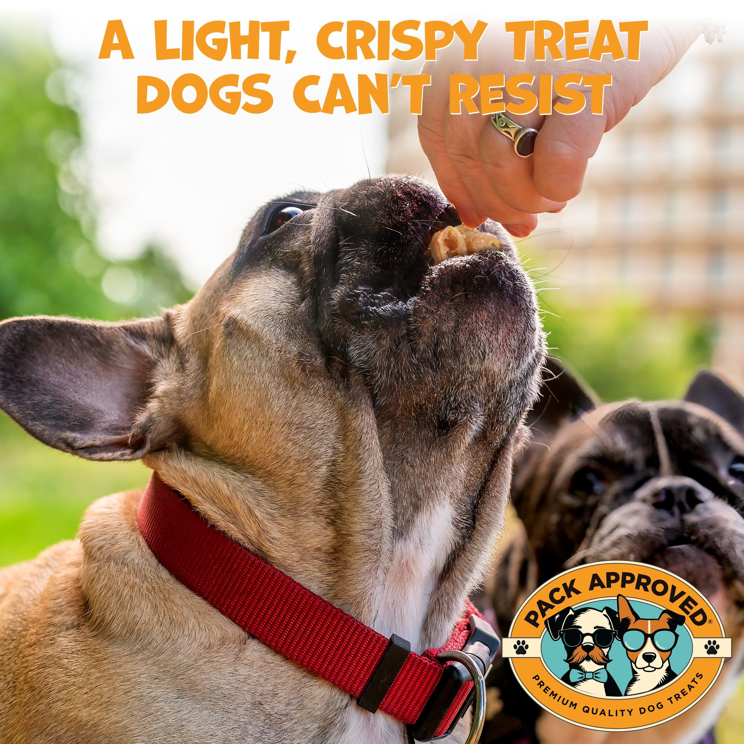Pack Approved Lamb Tripe - Single Ingredient & Dehydrated Dog Treats - Lamb Treats for Sensitive Stomach - No Hide Dog Chews Tripe - 10oz