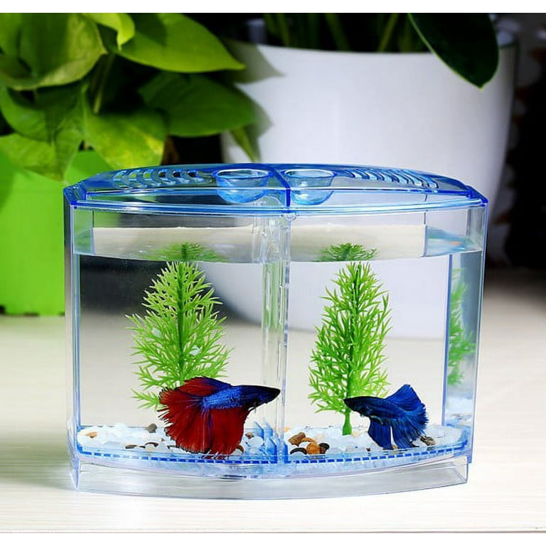 Ready Stock16 14.5 9CmIncubation RearingAquarium Tank Fish Betta