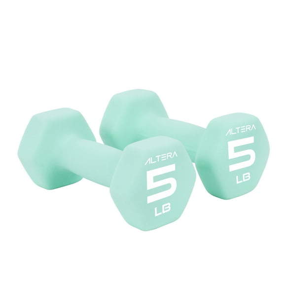 Set De 2 Mancuernas Hexagonales C/ Forro De Neopreno Peso Variable