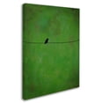 thumbnail image 2 of Trademark Fine Art "Lone Bird Green" Canvas Art by Nicole Dietz, 2 of 3