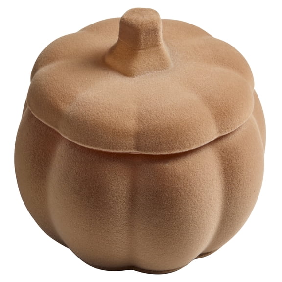 Better Homes and Gardens Pumpkin Snickerdoodle Swirl Scented 2 Wick Flocked Pumpkin Jar Candle 12.7 oz.