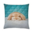 thumbnail image 2 of Ahgly Company Animals Rabbit Outdoor Throw Pillow, 18 inch by 18 inch, 2 of 6