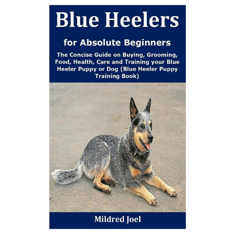 How Much Should I Feed My Blue Heeler Puppy