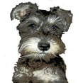 thumbnail image 3 of CafePress - Miniature Schnauzer Infant T Shirt - Infant T-Shirt, 3 of 4