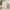 White, variant on HongHeng Clearance Under $2.00 Boho Decorative Pillow Covers 45x45 Cm for Living Room Couch Bed Sofa, Stylish Simplicity Home Decor, Soft Corduroy Cushion