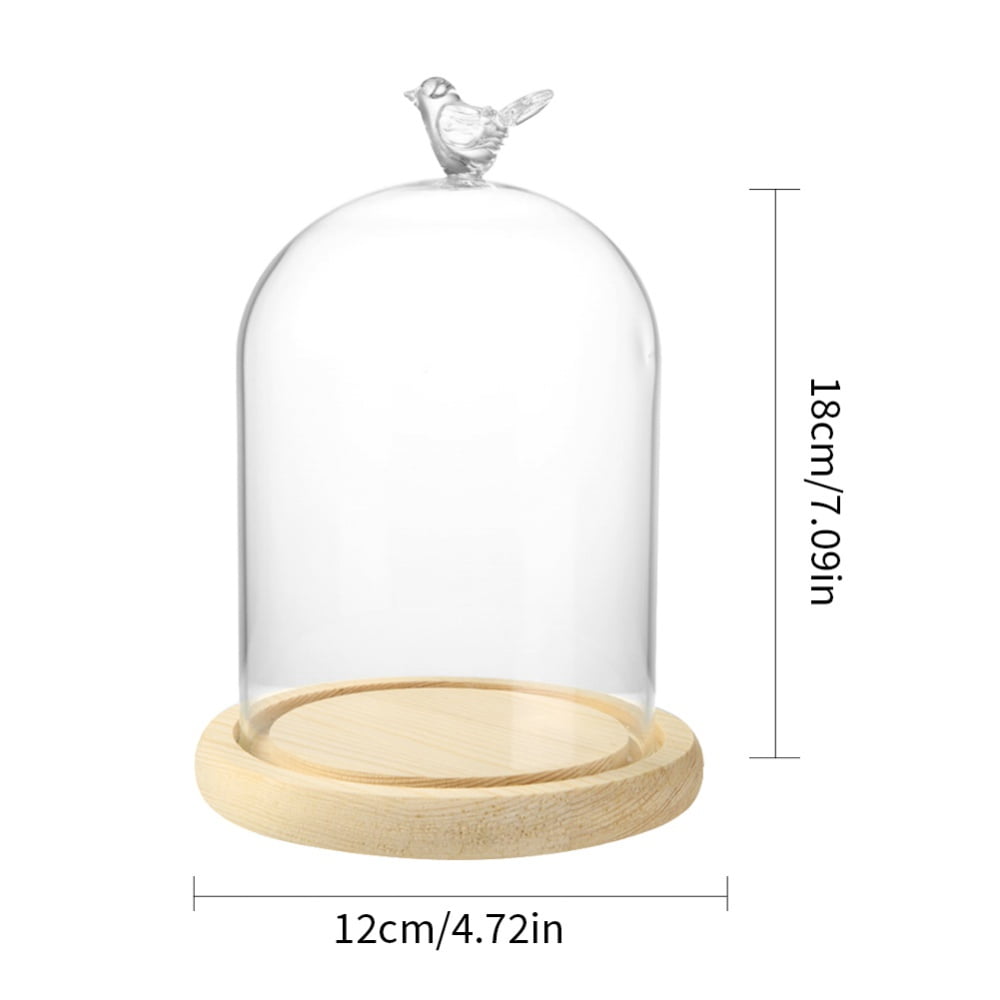 13-18cm Glass Cover Flower Display Cloche Bell Jar Dome Decor With Wooden Base 