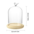 thumbnail image 4 of Clear Glass Display Cloche Dome with Bird Handle Wooden Base, Immortal Flower Glass Cover Large Size Office Home Decoration, 4 of 11