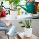 thumbnail image 5 of 5 Pack 5 Inch Self Watering Pots for Indoor Plants, Flower Pots Planter with Drainage Holes and Wick Rope White, 5 of 5