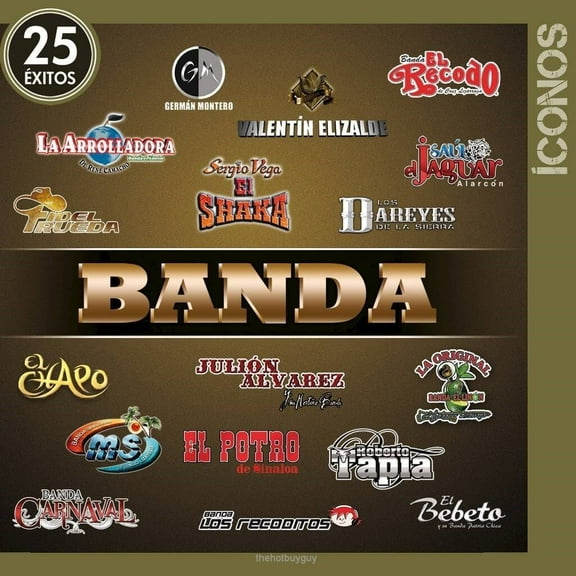 Iconos 25 Exitos Con Banda Audio CD 2 Discs NEW