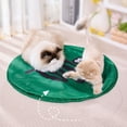 thumbnail image 3 of Automatic Motion Activated Moving Ball Hide Game, Interactive Fun with Self Rolling Cat Ball in Play Mat, for Kitten Indoor Exercise, 3 of 7