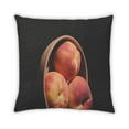 thumbnail image 2 of Ahgly Company Foods Peach Coussin Extérieur, 18 Pouces par 18 Pouces, 2 of 6