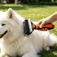 thumbnail image 6 of Pet Dematting Comb, Double Sided Dog Cat Grooming Brush with Stainless Steel Blades, Undercoat Rake for Long Hair Mat Removal, 6 of 9