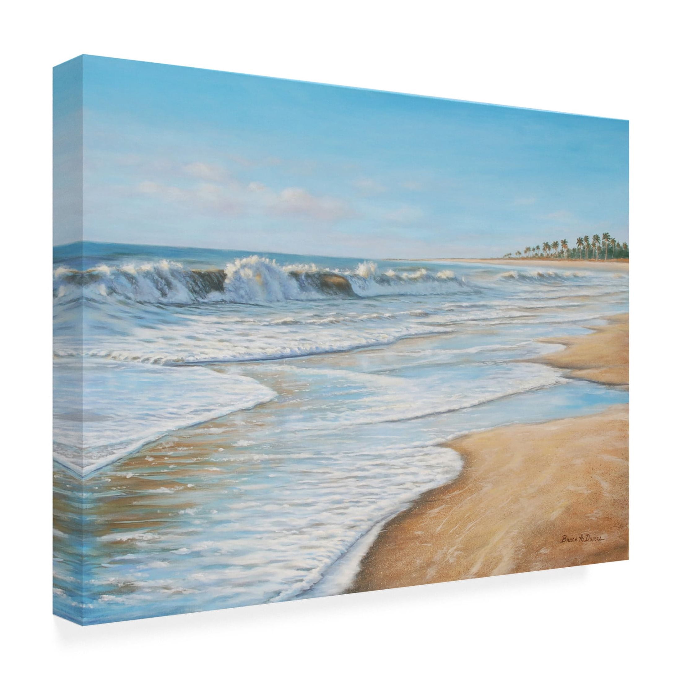 Canvas Wall Art - Bruce Dumas 'Wave Dancer' Wall Art for Living Room, Bedroom, or Office Décor by Trademark Fine Art - 32 x 24 Inches