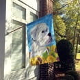 thumbnail image 2 of Carolines Treasures SS4142CHF 28 x 40 In. Boxer Flag Canvas- House Size, 2 of 4