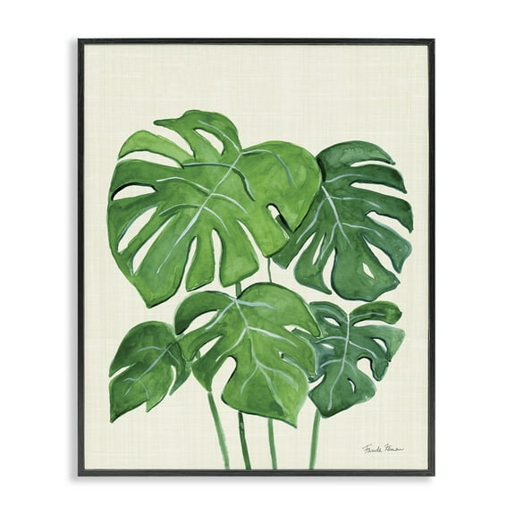 Stupell Industries Green Monstera Bundle Botanical & Floral Painting Black Framed Art Print Wall Art, 11 x 14