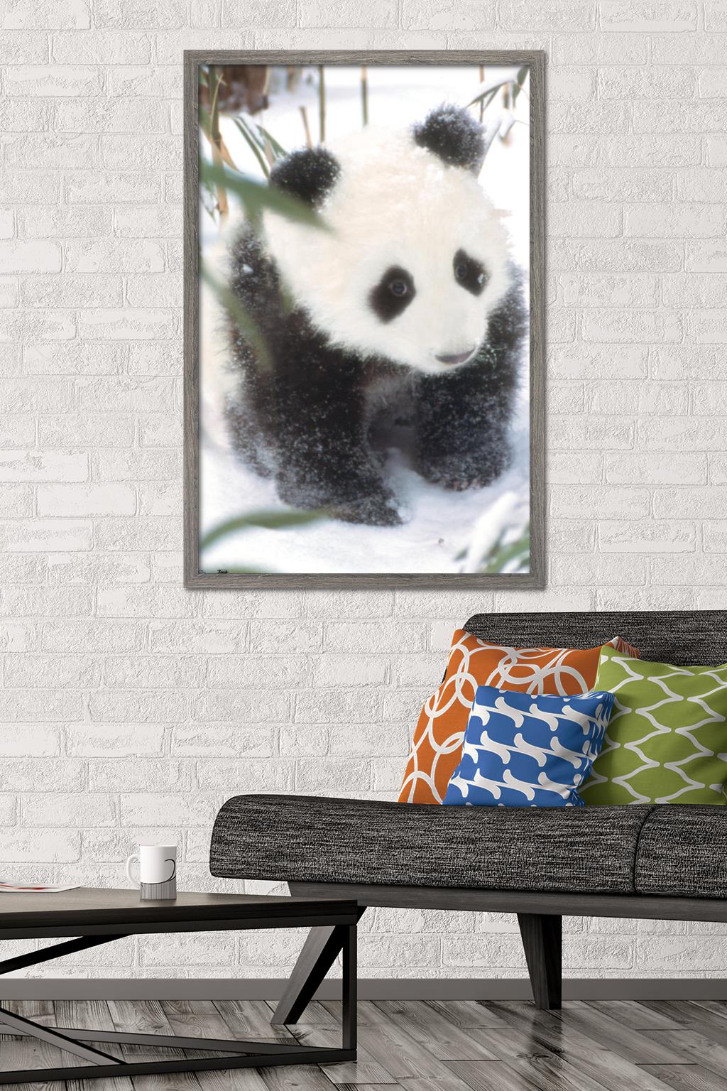 Animals - Panda in the Snow Wall Poster, 22.375" x 34", Framed