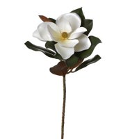 Sage & Co 26-inch Magnolia Stem (Pack of 12)