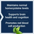thumbnail image 5 of Life Extension Vitamin B12 Methylcobalamin, 5 mg - Dissolvable Vitamin B Supplement for Nerve, Brain Health & Energy - Gluten-Free, Non-GMO - 60 Vegetarian Lozenges, 5 of 10