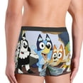 thumbnail image 7 of Lsque Bluey Pattern Men’s Total Support Pouch Boxer Briefs, X-Temp Cooling, Moisture-Wicking Underwear, Regular, Long-leg and Trunk-X-Large, 7 of 7