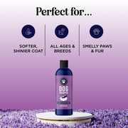 Soothing Oatmeal Shampoo for Dogs - Cleansing and Moisturizing Aloe & Oatmeal Dog Shampoo for Smelly Dogs of all Ages & Breeds - Gentle Sulfate and Paraben Free Dog Wash Made in USA (Lavender Vanilla