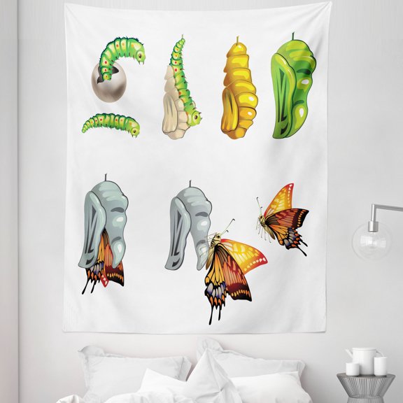 Butterfly Tapestry, Butterfly Stages with the Cocoon Life Cycle Nature Print Illustration, Fabric Wall Hanging Decor for Bedroom Living Room Dorm, 5 Sizes, Multicolor, by Ambesonne