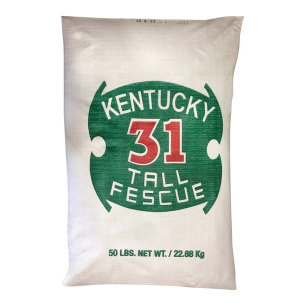 Barenbrug K3150PLT 50 lb. Kentucky 31 Tall Fescue Grass Seed Walmart