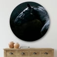 thumbnail image 2 of Designart 'Close Up Of Thoroughbred Nonius Stallion Horse II' Farmhouse Circle Metal Wall Art 29x29 - Disc of 29, 2 of 5