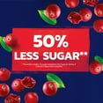 thumbnail image 5 of Ocean Spray® Craisins®, 50% Less Sugar Dried Cranberries, Dried Fruit, 20 oz Pouch, 5 of 14