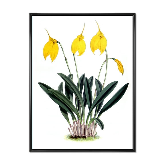 Designart 'Orchid Retro Flowers' Farmhouse Framed Canvas Wall Art Print