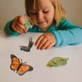 thumbnail image 6 of Fridja 4 Piece Insect Figure Butterfly Life Cycle Plastic Brood To Mature Period, 6 of 6