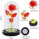 thumbnail image 4 of Rosa Artificial Fvawe Galaxia con Luz en Cúpula de Cristal, 4 of 7