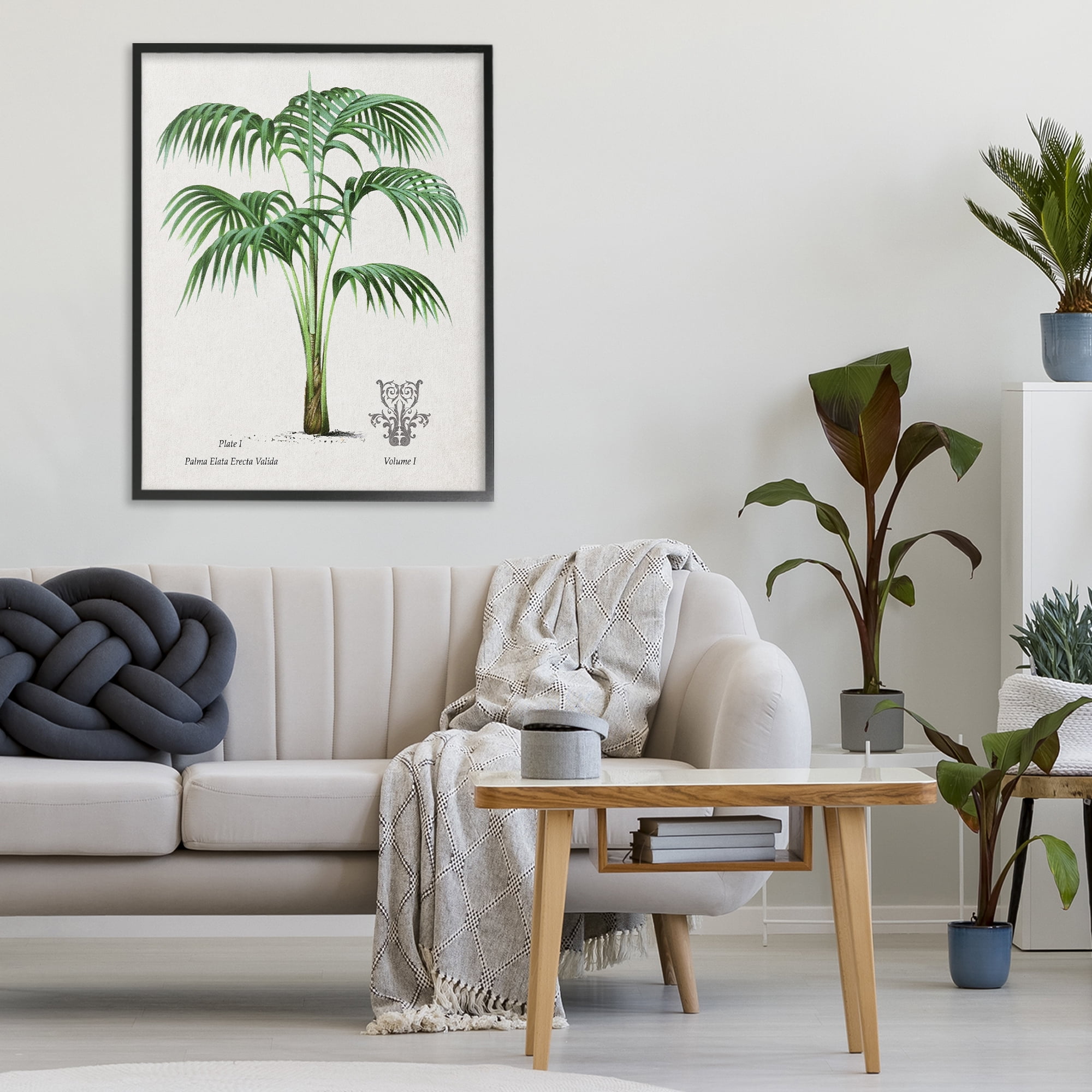 Stupell Industries Natural Palm Study Black Framed Giclee Art, design by Val Rhodes