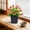 🔥 Red, variant on Viflosae Artificial Plants Artificial Plants Artificial Potted Plants Core Desktop Greenery Small Bonsai Ornament Plastic Faux Leaves Mini Pot Decor for Office Table Shelf and Home Room Styling