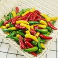 thumbnail image 4 of Simulation pepper, vegetable-like photo props home kitchen decoration children's teaching props, 4 of 5