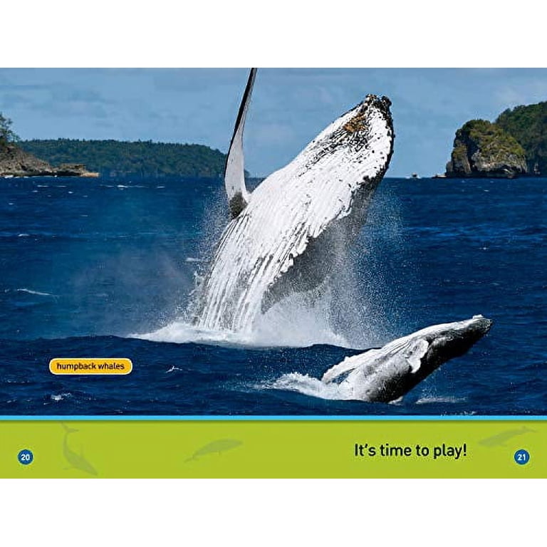 National Geographic Kids Readers Whales, Pre-Reader, Paperback