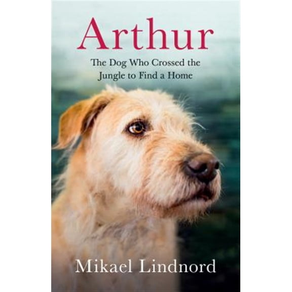 Pre-Owned Arthur: The Dog Who Crossed the Jungle to Find a Home (Paperback) 1771644478 9781771644471