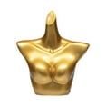 thumbnail image 4 of Almencla Female Mannequin Torso Underwear Display Stand for Retail Stores Shows Malls Lingerie Rack, 4 of 8