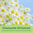 thumbnail image 7 of Facial Importer Chamomile Hair Conditioner For Sensitive Scalps Soothing Formulas Sulfate Gentle For All Hair Types, 7 of 7