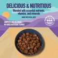 thumbnail image 6 of A Strong Heart Wet Dog Food, Cuts in Gravy with Beef - 13.2 oz Cans (Pack of 12), Made in The USA with Real Beef, 6 of 9