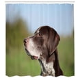 thumbnail image 3 of Ambesonne Hunting Shower Curtain, German Pointer, 69"Wx84"L, Multicolor, 3 of 3