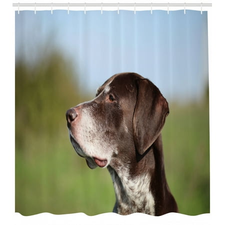 Hunting Shower Curtain German Short Haired Pointer In Wilderness Portrait Photograph Kurzhaar Pet Dog Fabric Bathroom Set With Hooks Multicolor By