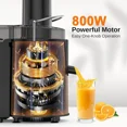thumbnail image 3 of 800W Electric Juicer Fruit Vegetable Blender Juice Extractor Citrus Machine 2-Speed for Whole Fruits & Vegetables, Black, 3 of 13
